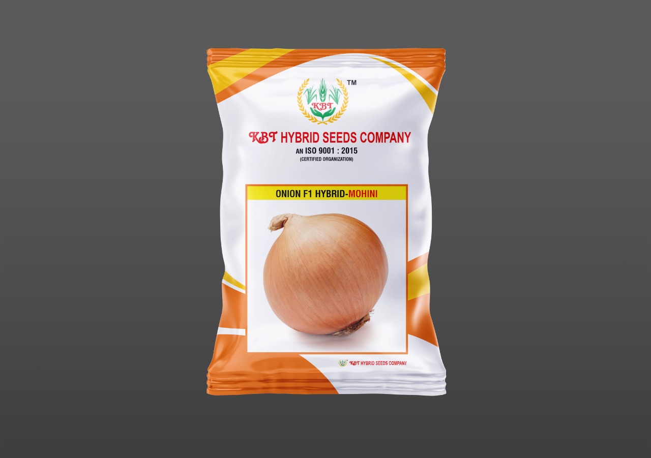 ONION F1 HYBRID - MOHINI 50g